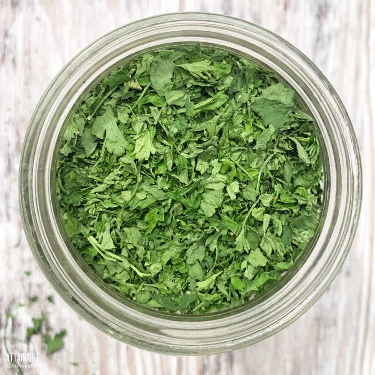 Best Flavor Parsley: Quick Drying Methods for Your Kitchen
